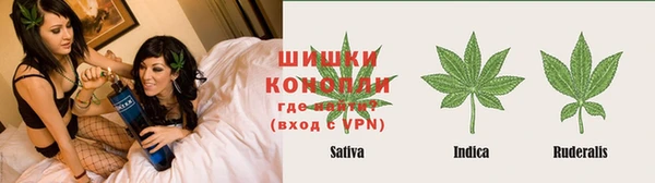стафф Алексеевка