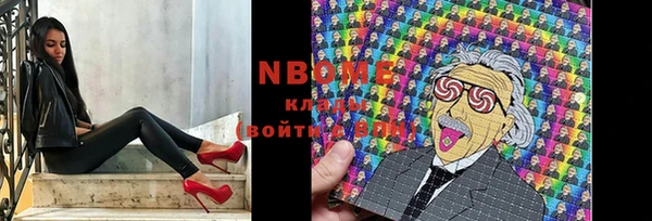 МДПВ Протвино