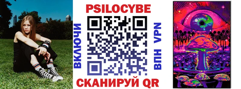 Псилоцибиновые грибы Psilocybine cubensis  Богучар 